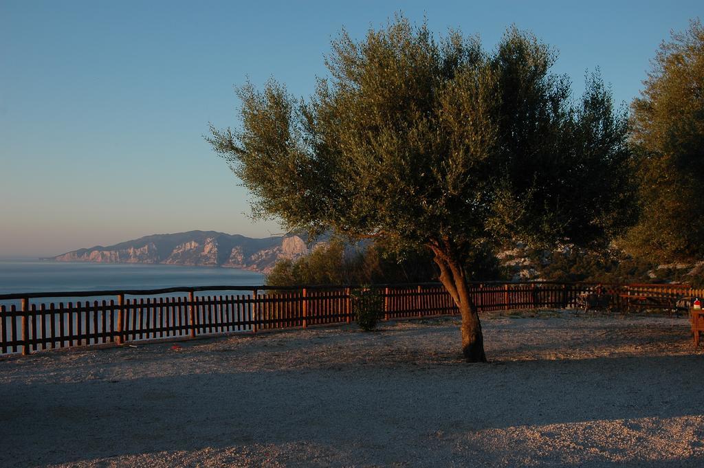 Agriturismo Codula Fuili كالا غونوني المظهر الخارجي الصورة