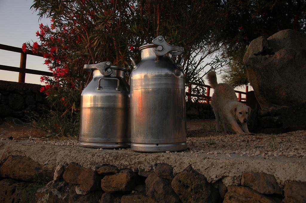 فيلا Agriturismo Codula Fuili كالا غونوني المظهر الخارجي الصورة