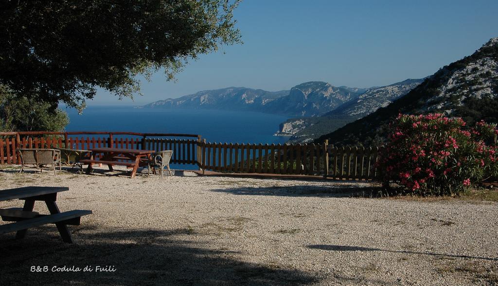 Agriturismo Codula Fuili كالا غونوني الغرفة الصورة