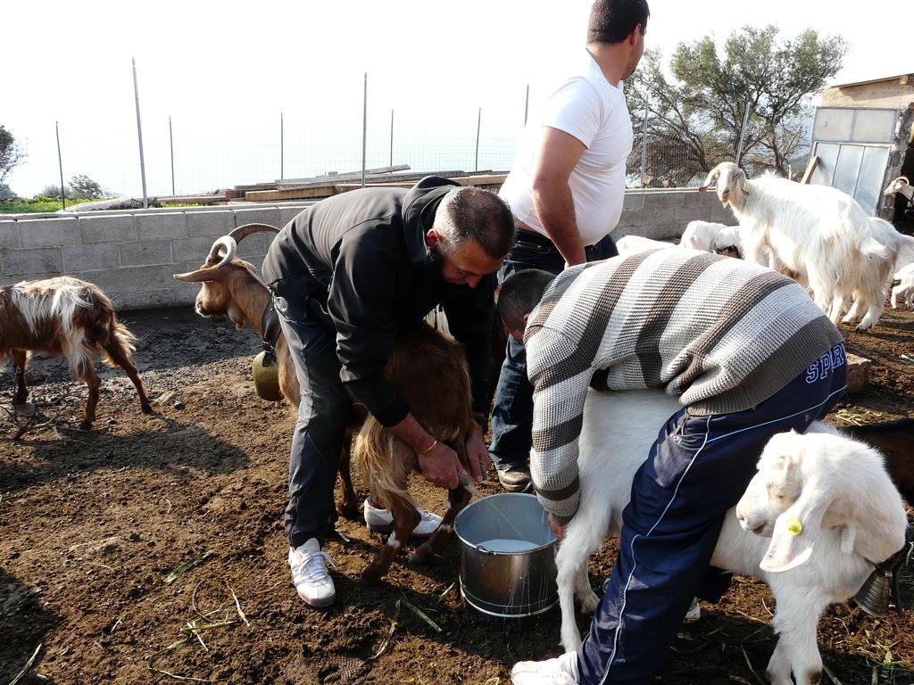 Agriturismo Codula Fuili كالا غونوني المظهر الخارجي الصورة