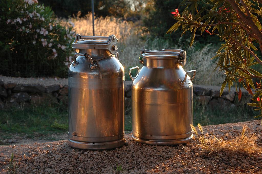 Agriturismo Codula Fuili كالا غونوني المظهر الخارجي الصورة