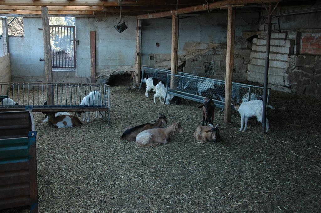 Agriturismo Codula Fuili كالا غونوني المظهر الخارجي الصورة