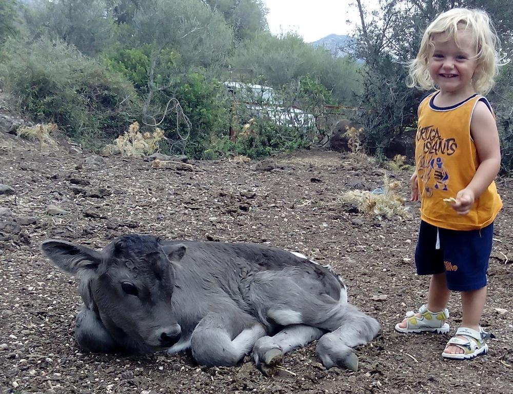 فيلا Agriturismo Codula Fuili كالا غونوني المظهر الخارجي الصورة