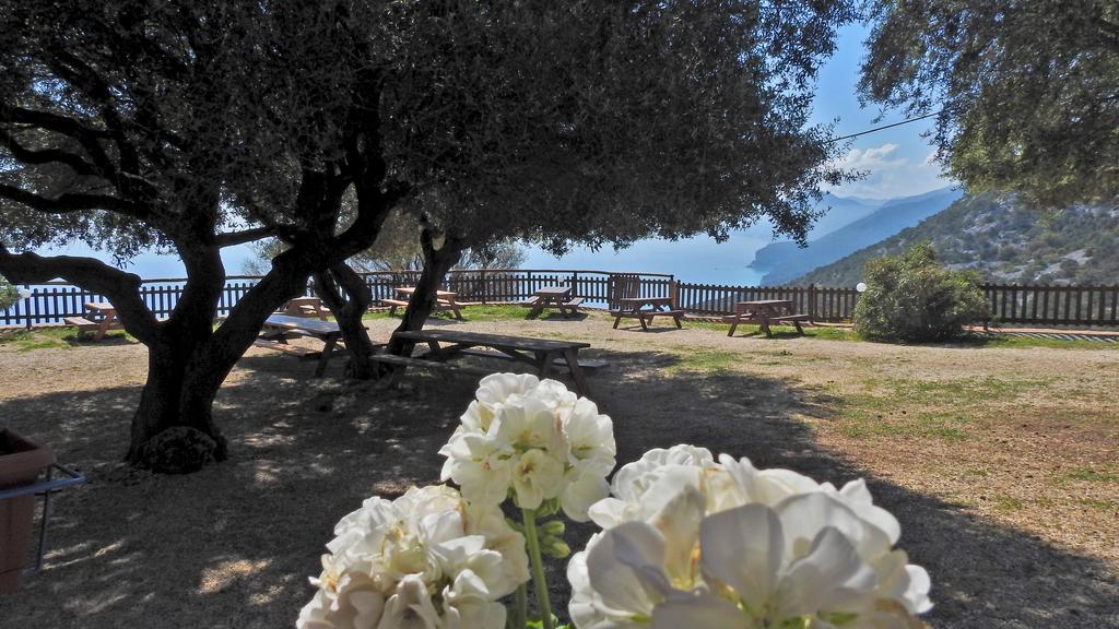 Agriturismo Codula Fuili كالا غونوني المظهر الخارجي الصورة