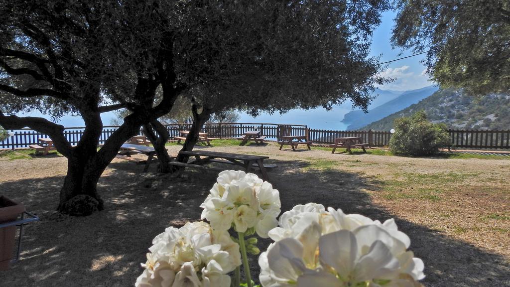 فيلا Agriturismo Codula Fuili كالا غونوني المظهر الخارجي الصورة