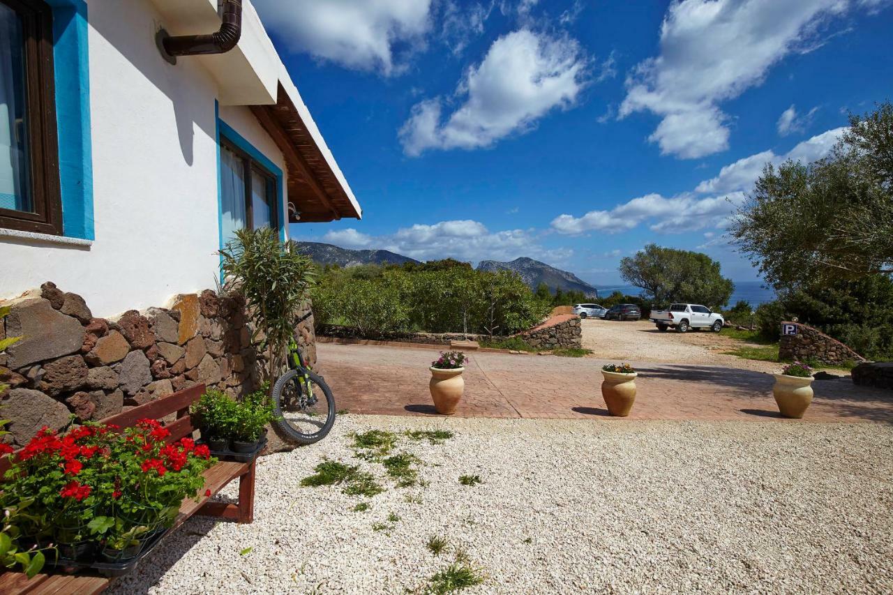 Agriturismo Codula Fuili كالا غونوني المظهر الخارجي الصورة